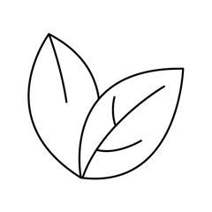 Natürlich & mit Bio-Inhaltsstoffen