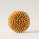 The Dry Brush – Trockenbürste