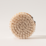 The Soft Dry Brush – Trockenbürste