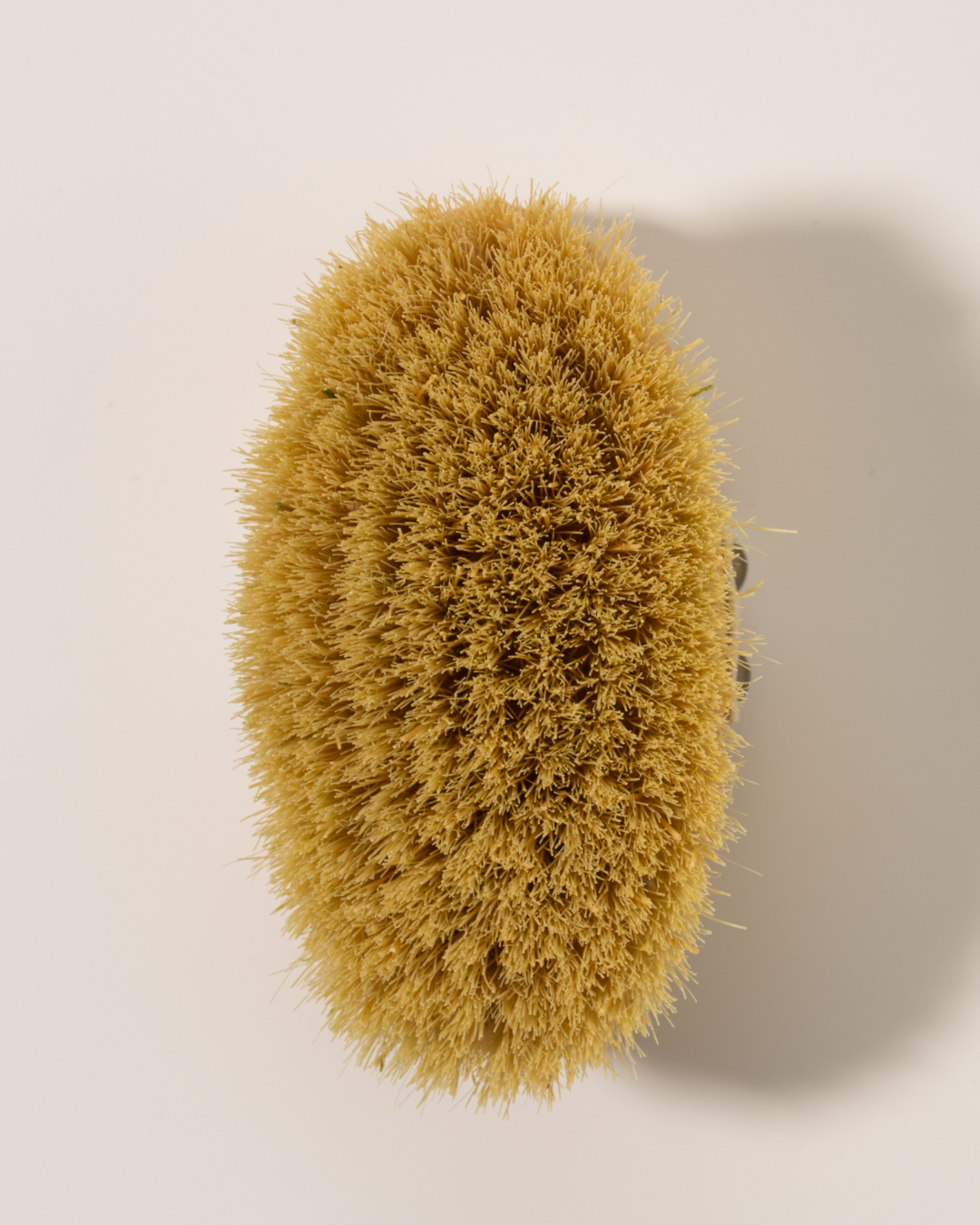 The Vegan Dry Brush